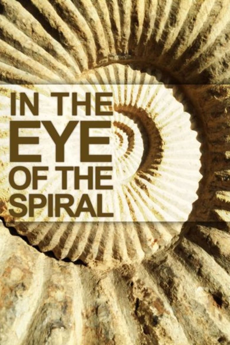 Poster of In the Eye of the Spiral