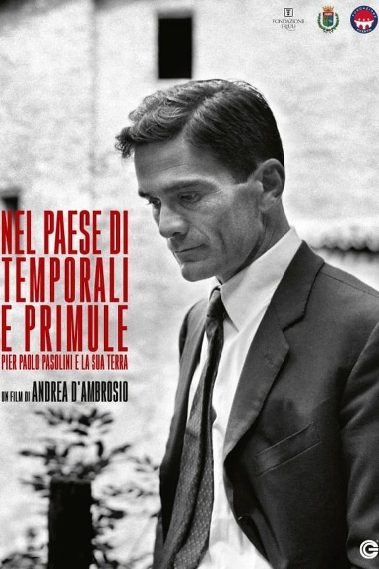 Poster of Nel paese di temporali e di primule - Pier Paolo Pasolini e la sua terra