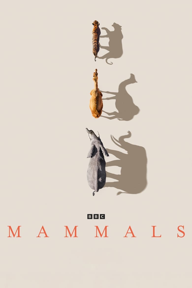 Poster of Mammals