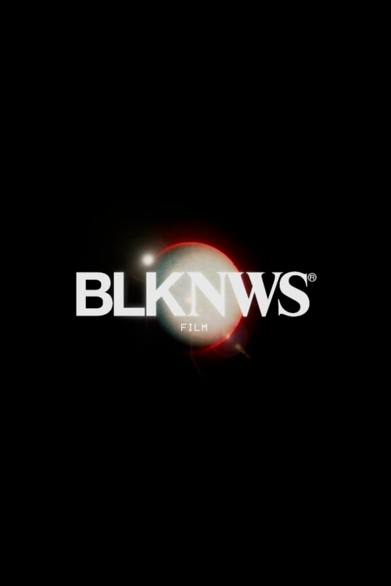 Poster of BLKNWS: Terms and Conditions