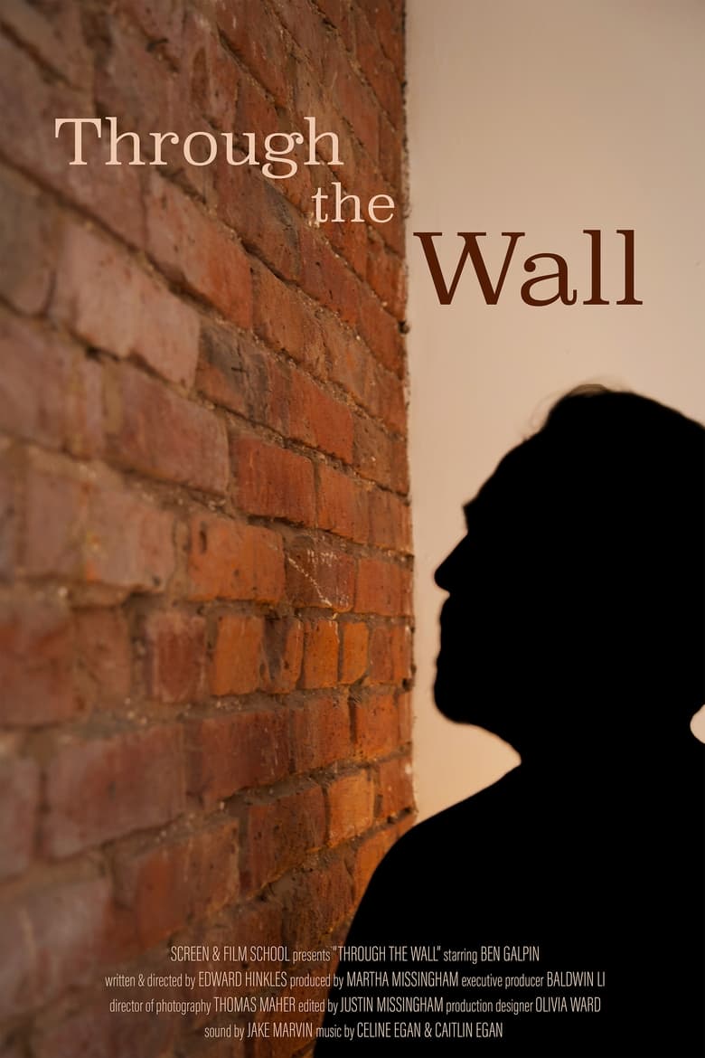 Poster of Through the Wall