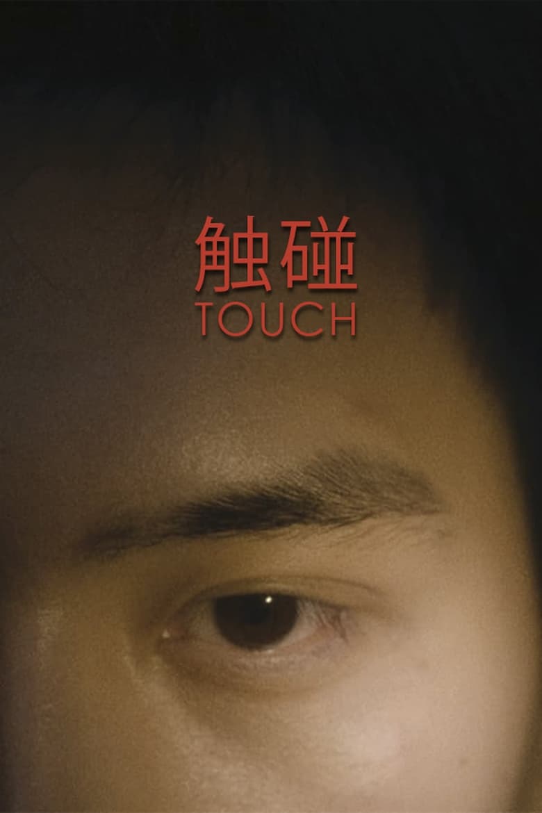 Poster of Touch