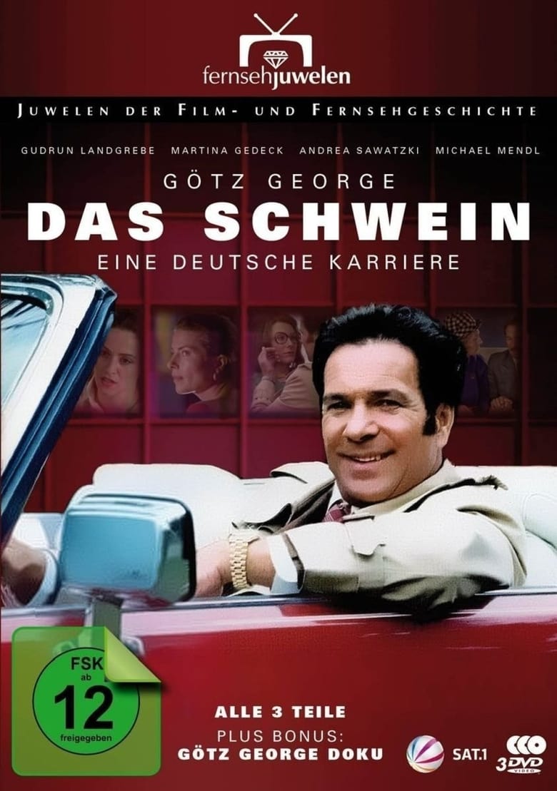 Poster of Das Schwein – Eine deutsche Karriere