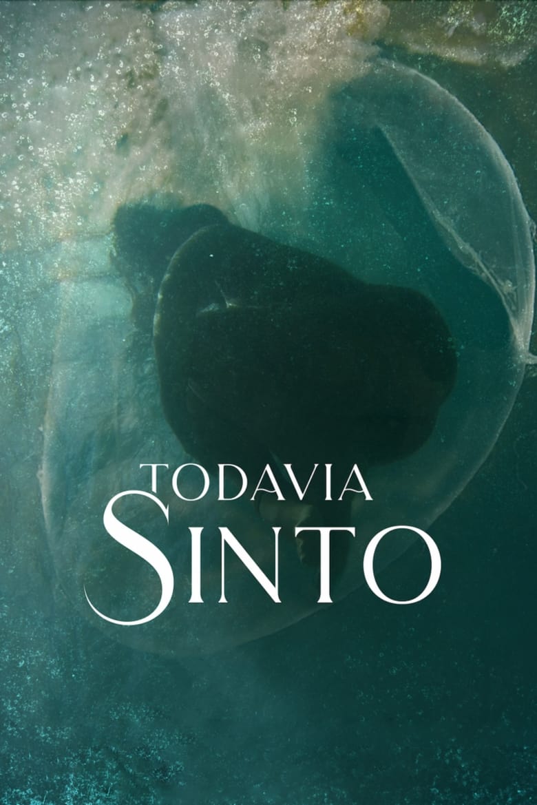 Poster of Todavia Sinto