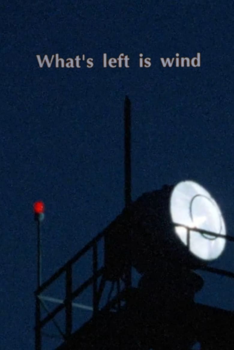 Poster of What's Left is Wind