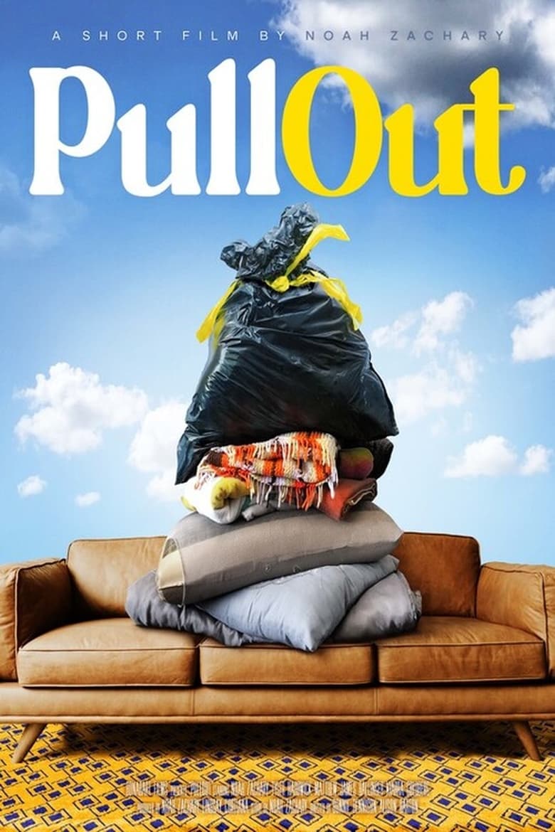 Poster of Pull Out