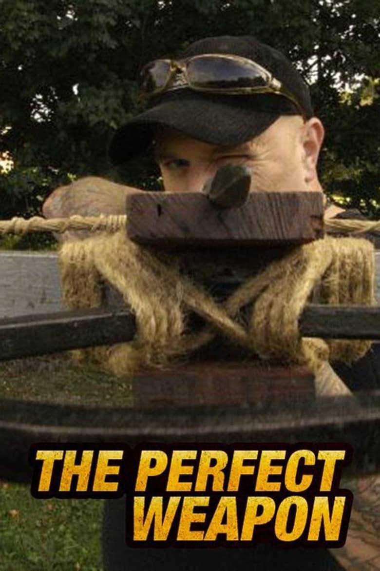 Poster of Perfect Weapon