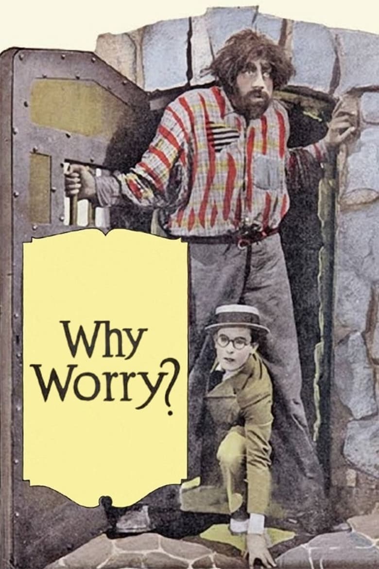 Poster of Why Worry?