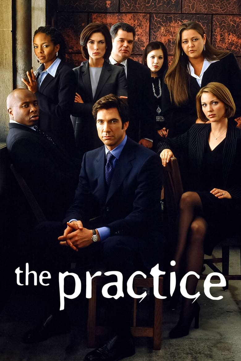 Poster of The Practice