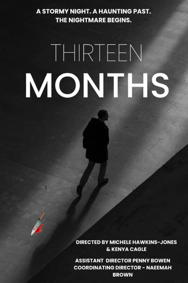 Poster of Thirteen Months