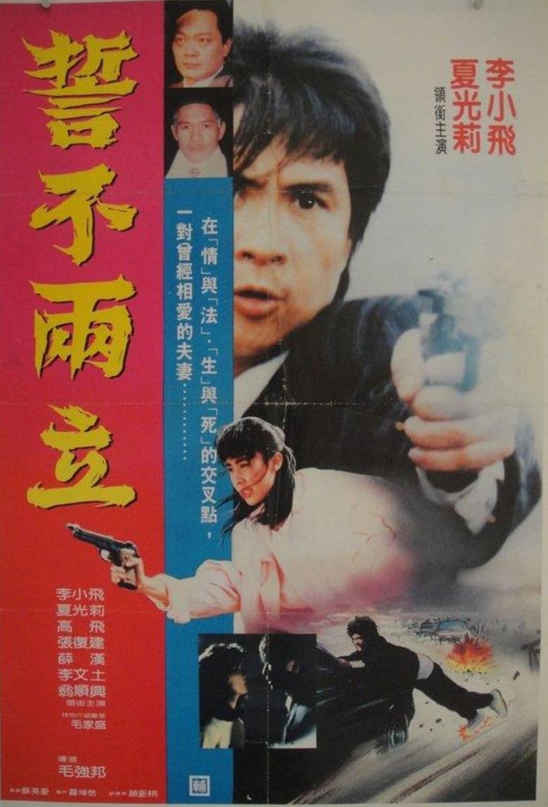 Poster of Duel of Return