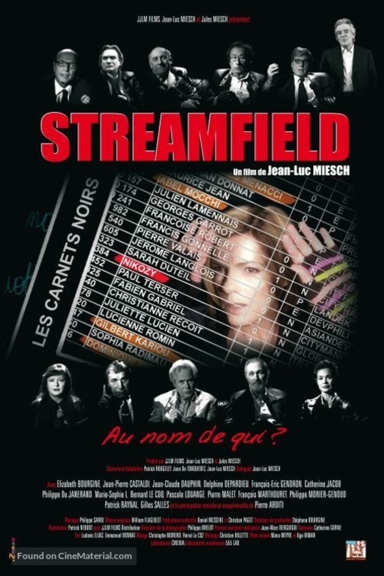 Poster of Streamfield, les carnets noirs