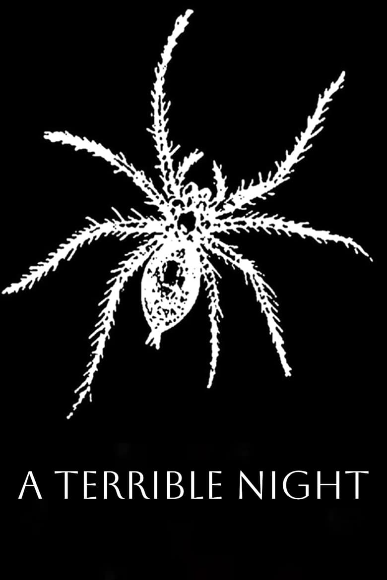 Poster of A Terrible Night