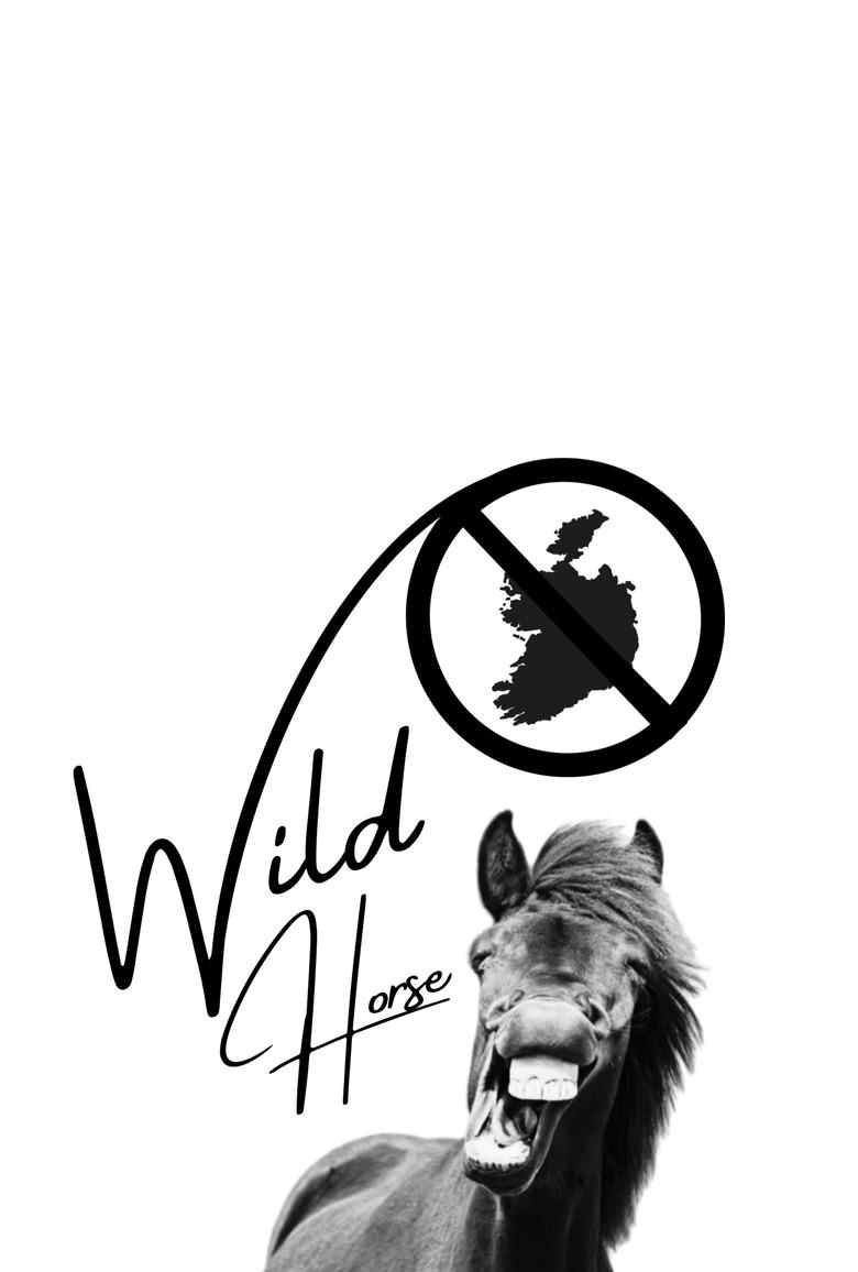 Poster of Wild Horse