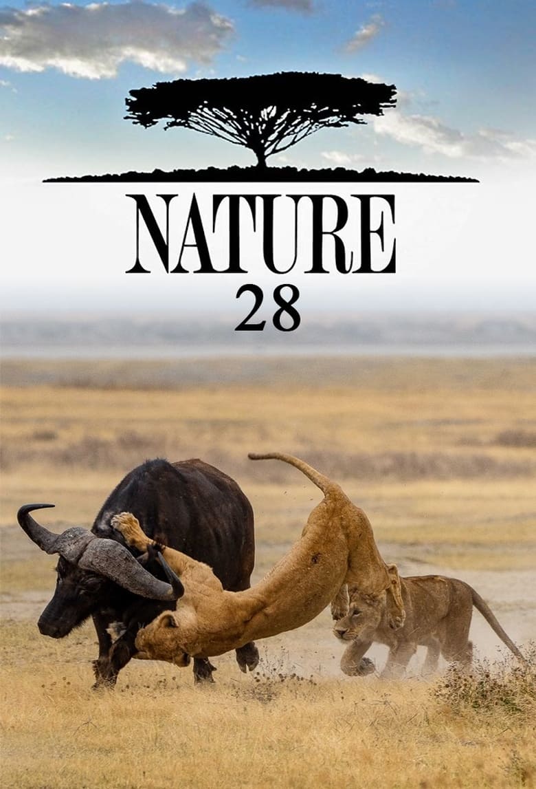 Poster of Cast and Crew in Nature - Season 28 - Episode 6 - Clash: Encounters of Bears and Wolves