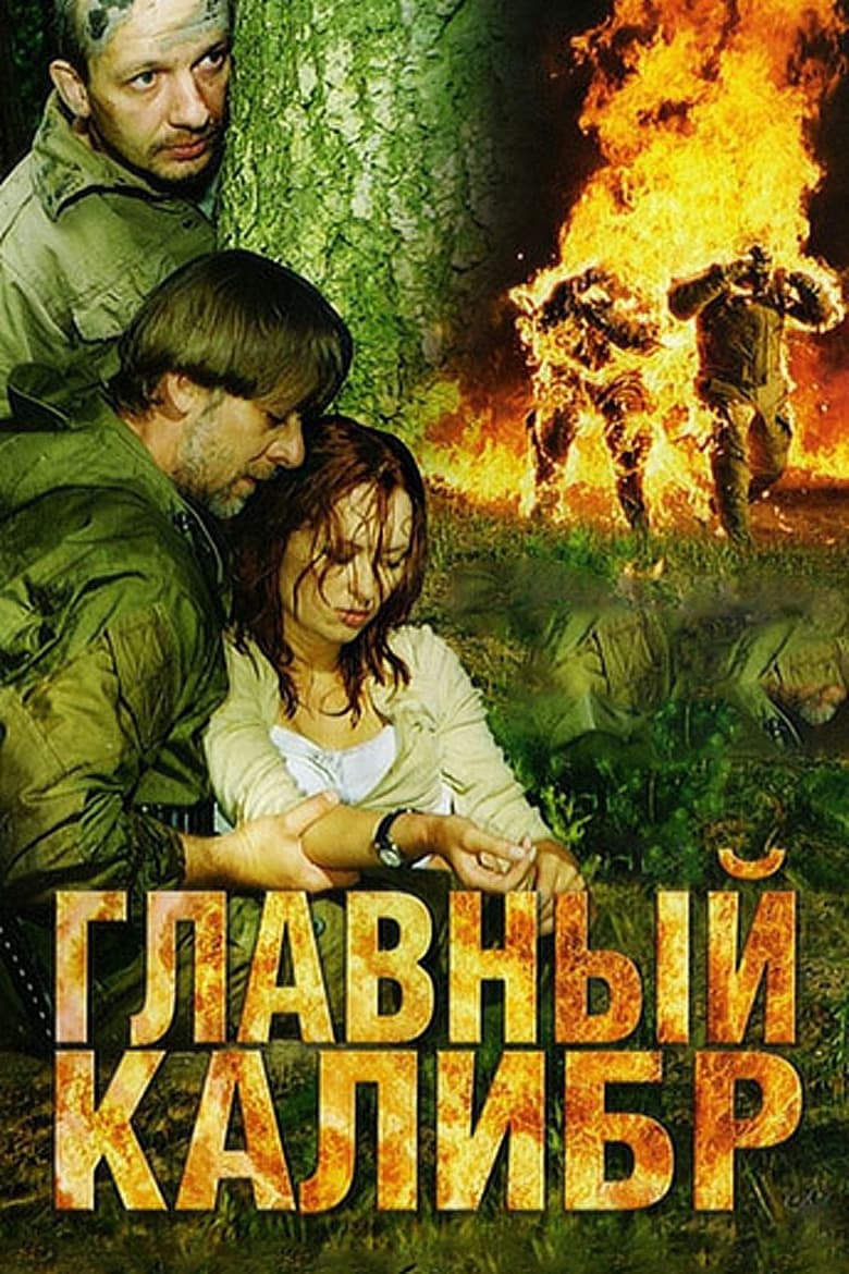 Poster of Главный калибр