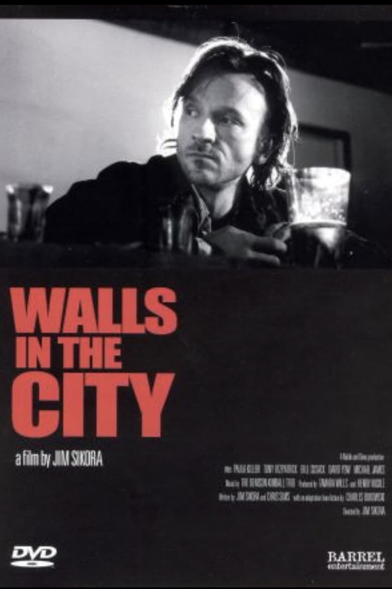 Poster of Walls in the City