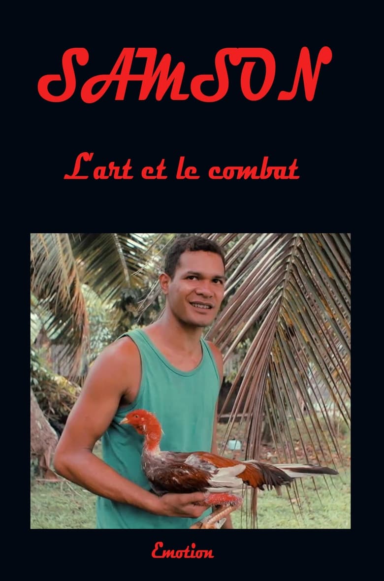 Poster of Samson art and combat