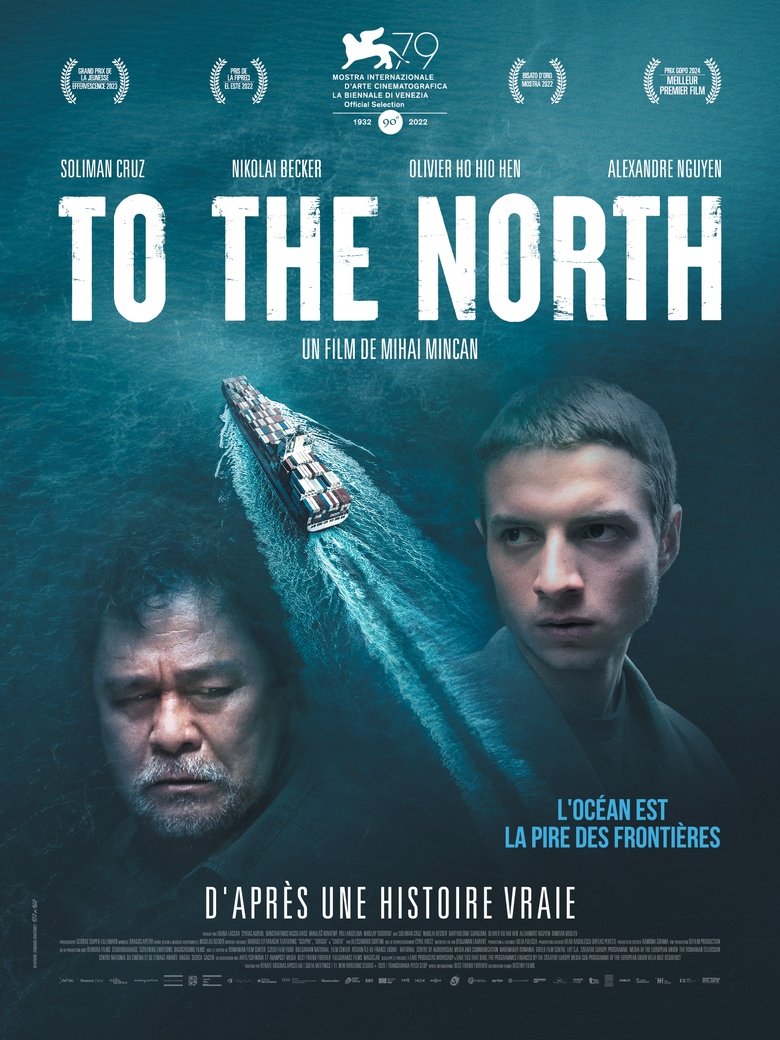 Poster of To The North