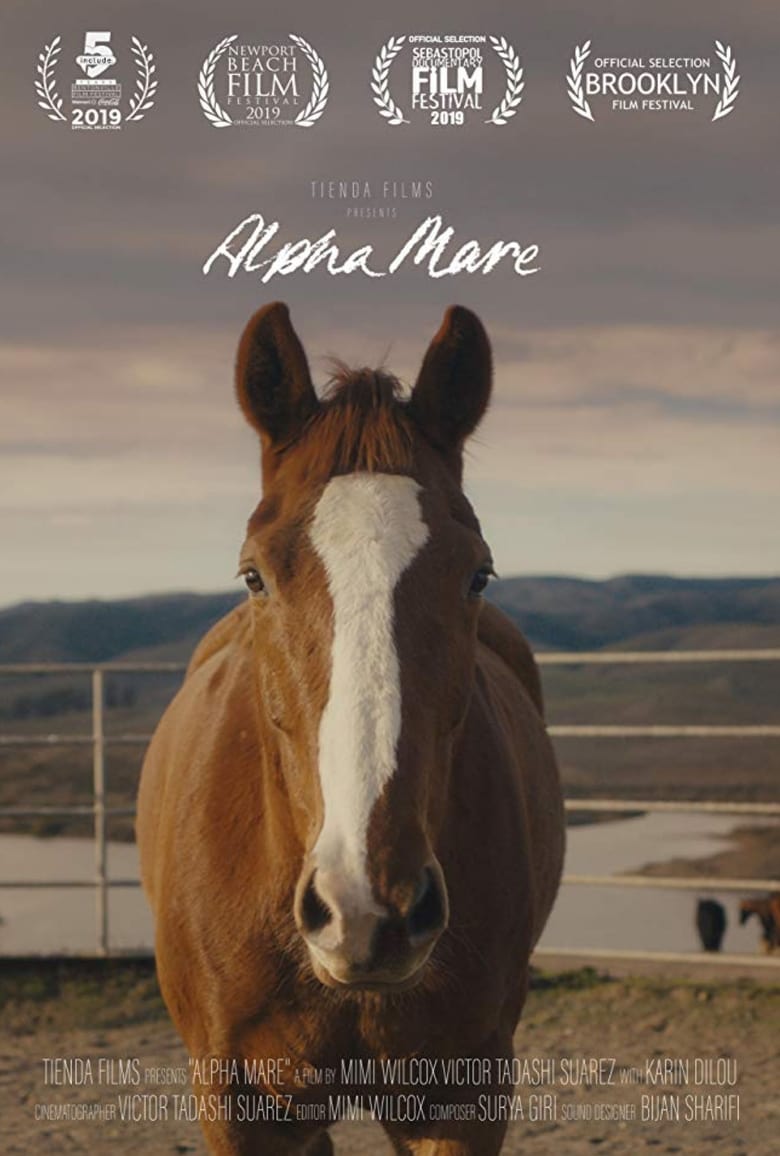 Poster of Alpha Mare