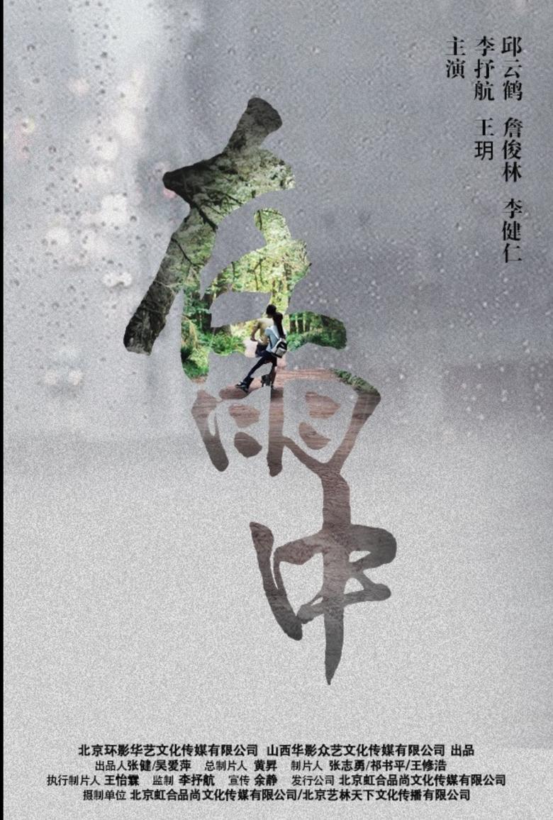 Poster of 在雨中