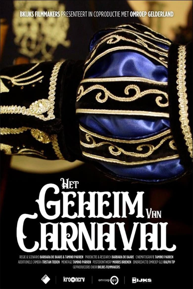 Poster of Het Geheim van Carnaval