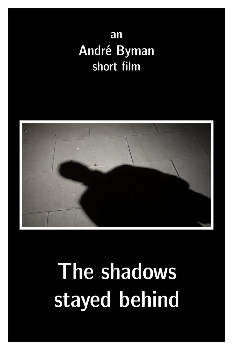 Poster of The shadows stayed behind