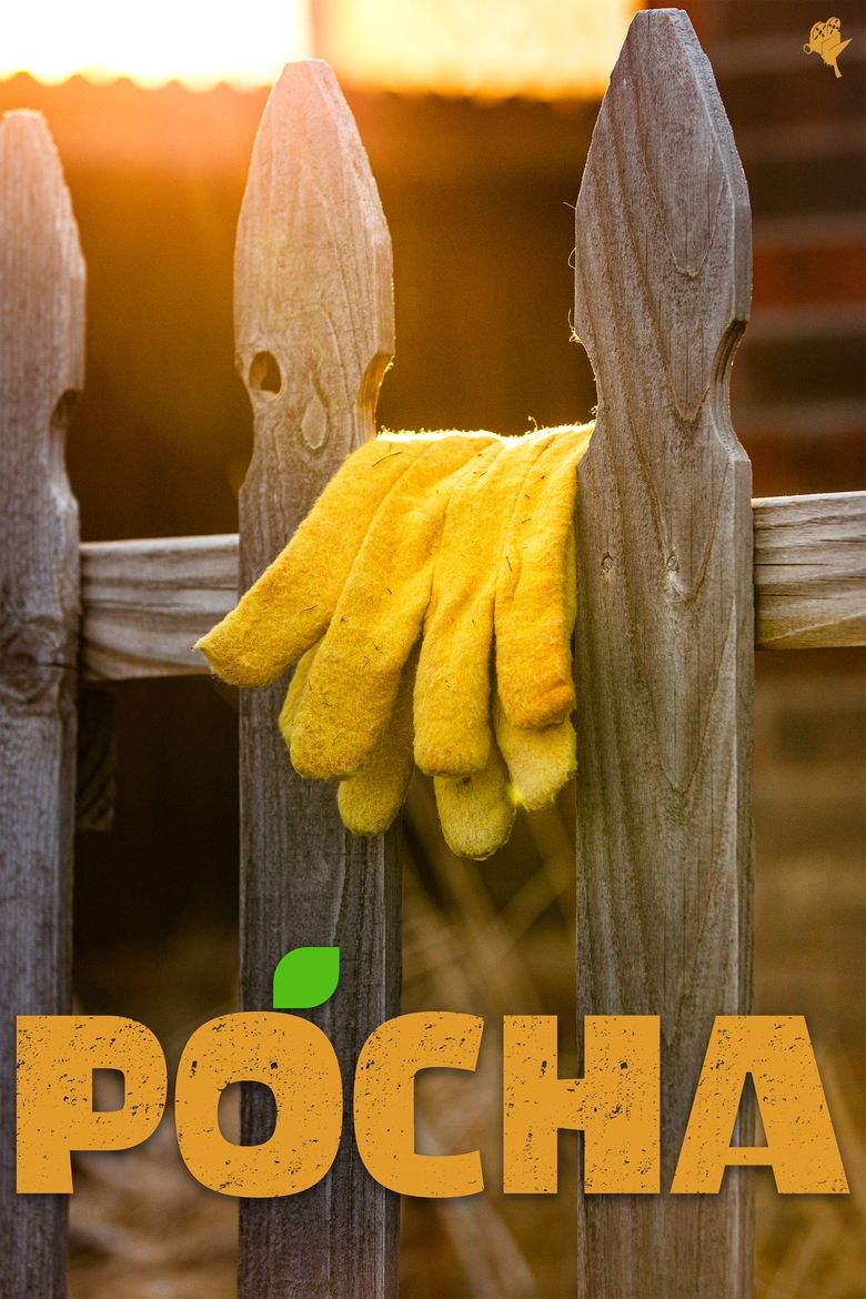 Poster of Pocha