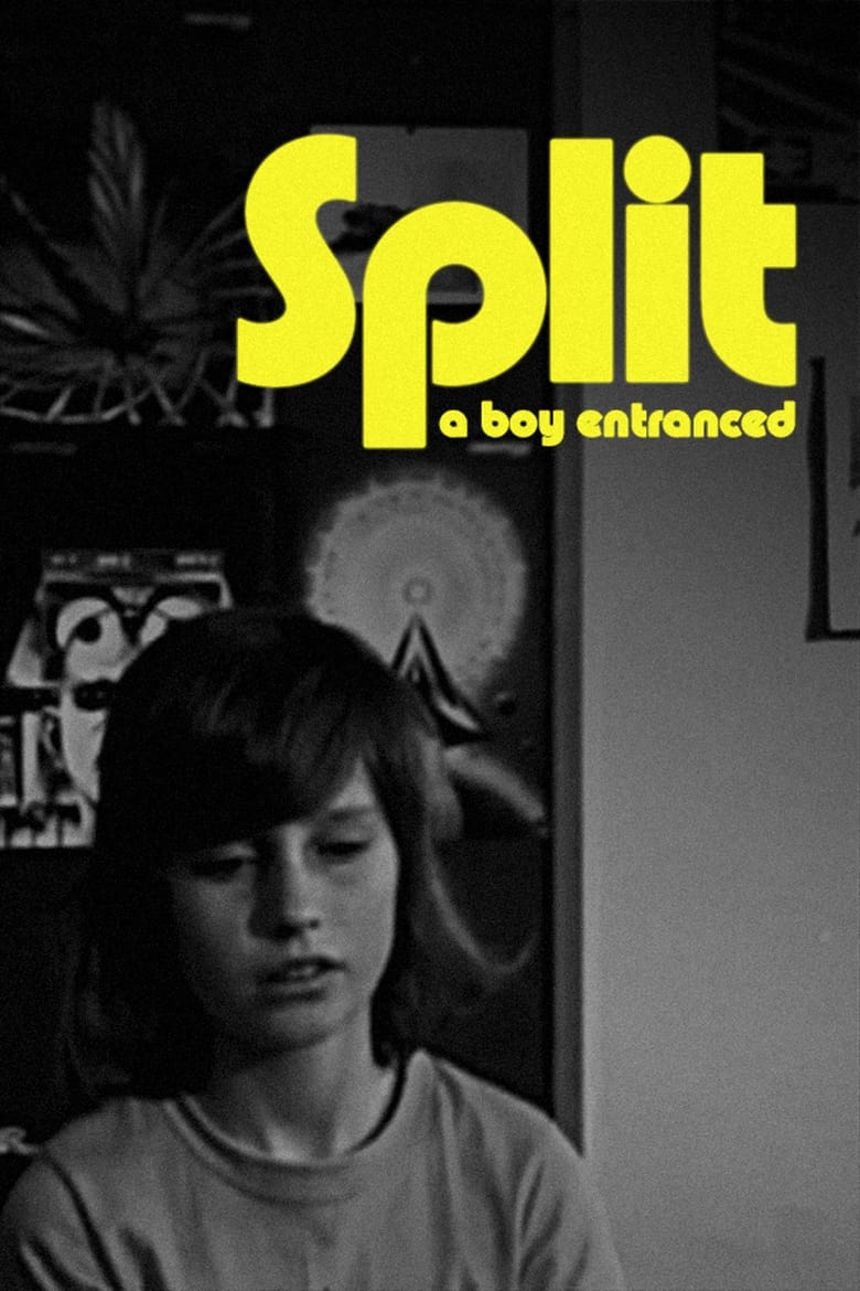 Poster of Split