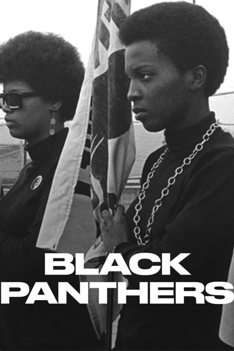 Poster of Black Panthers