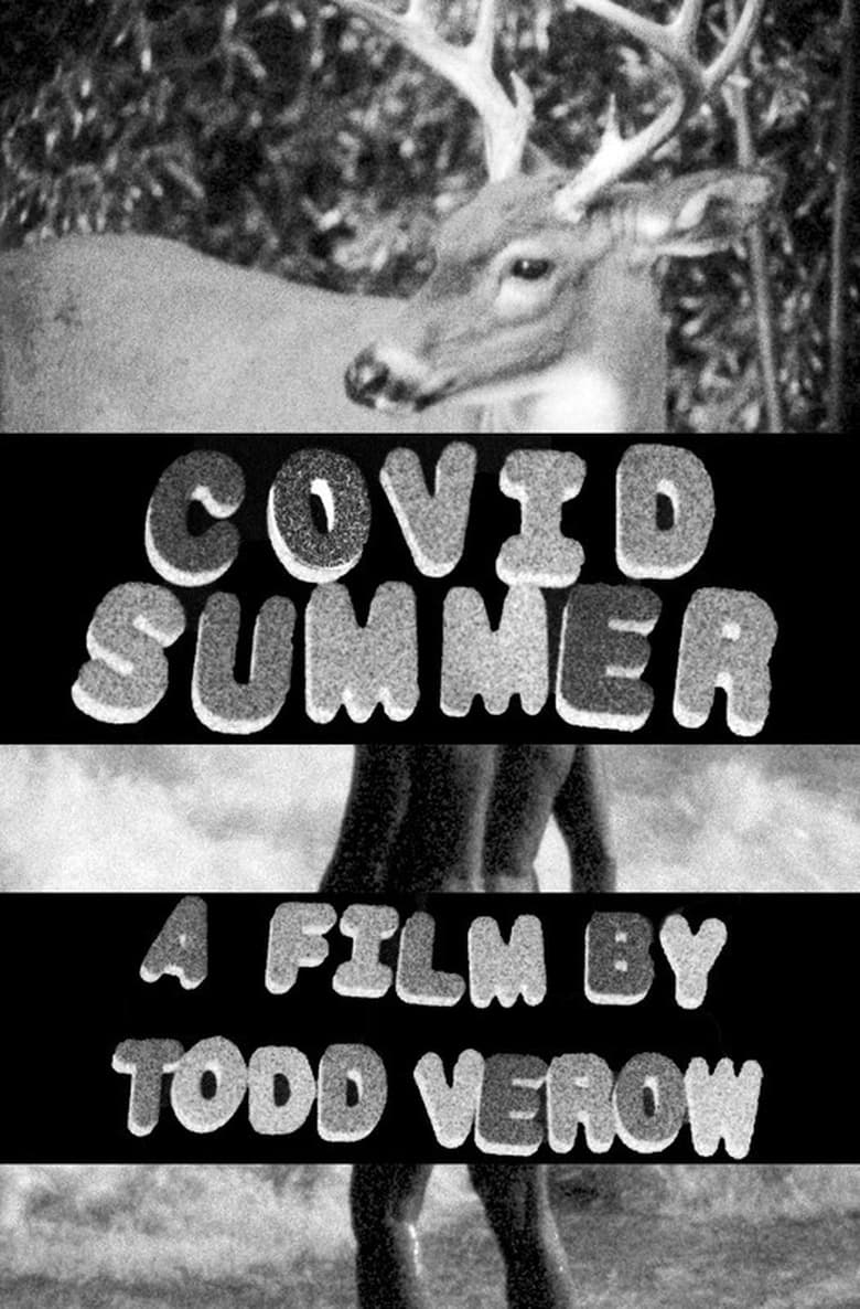 Poster of Covid Summer