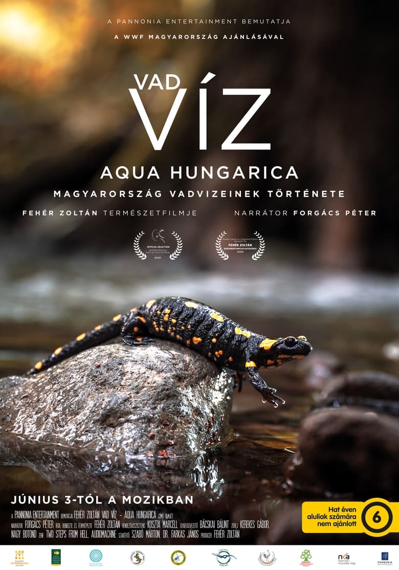 Poster of Where Rivers Run Wild: Aqua Hungarica