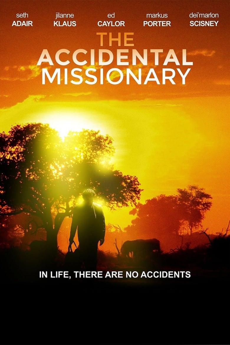 Poster of The Accidental Missionary