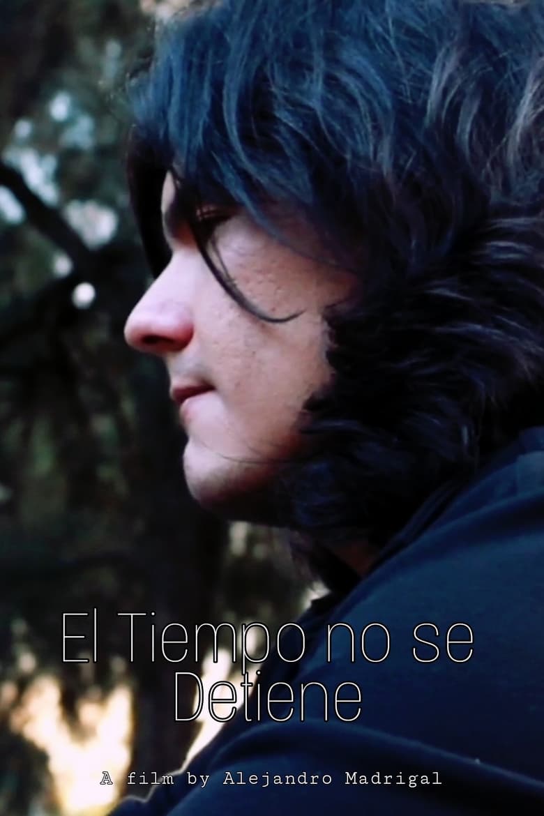 Poster of El Tiempo no se Detiene