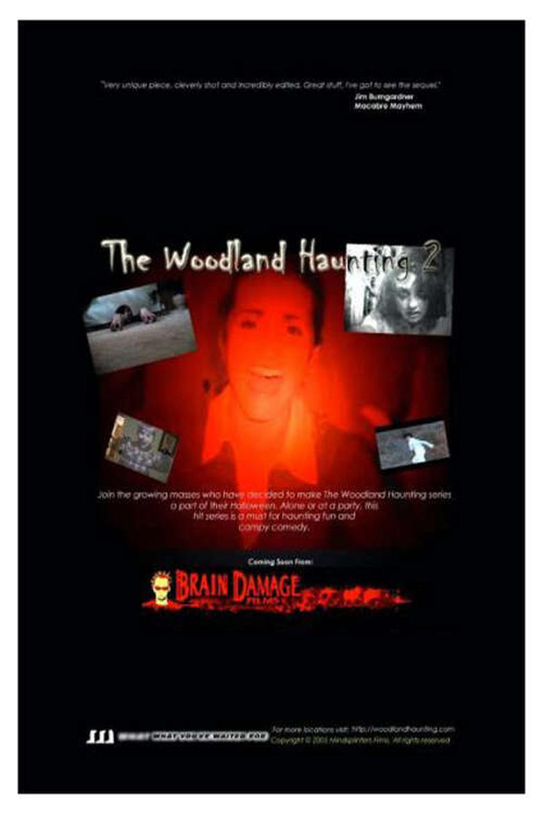 Poster of The Woodland Haunting 2