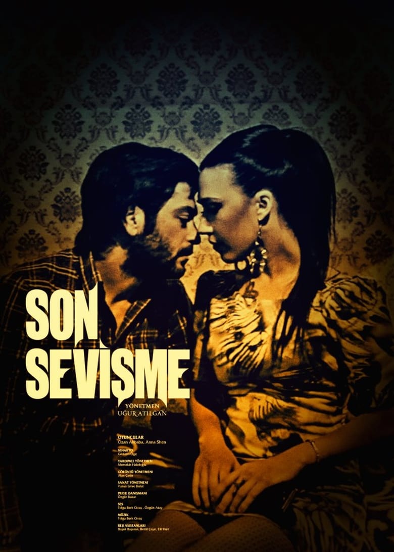 Poster of Son Sevişme