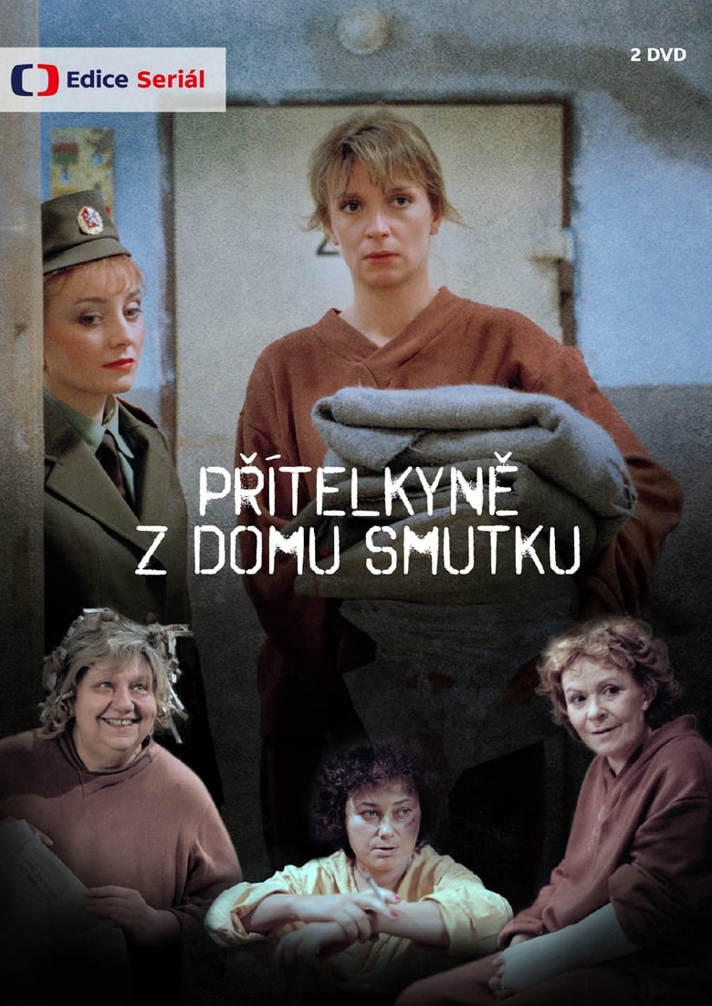 Poster of Přítelkyně z domu smutku