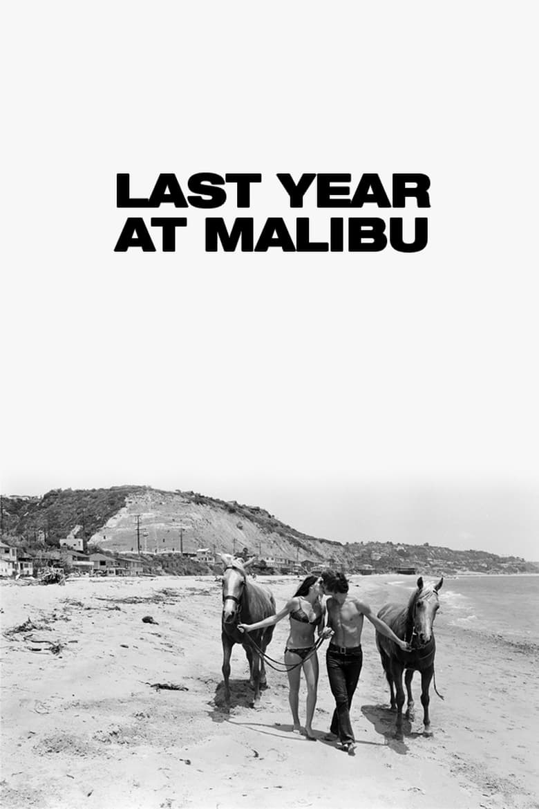 Poster of Last Year at Malibu