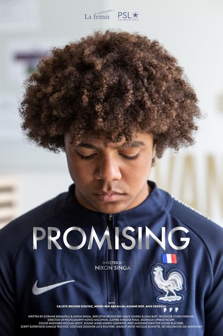 Poster of Promising