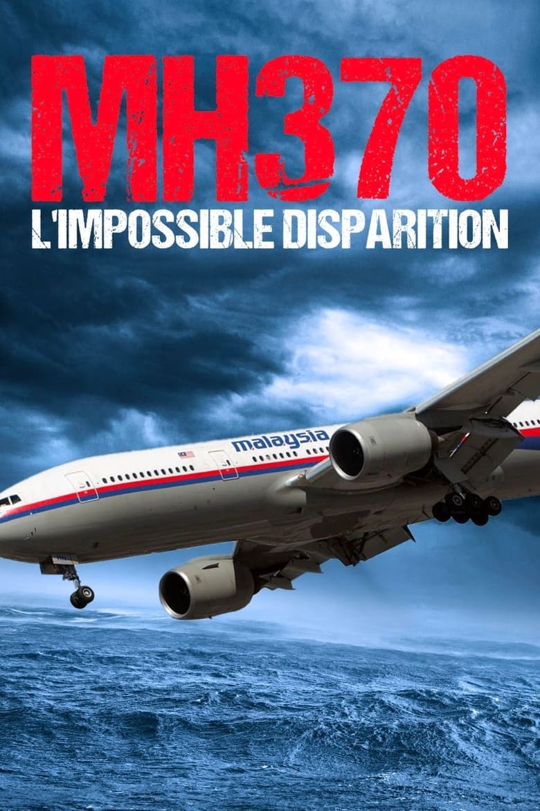 Poster of Good Night MH370