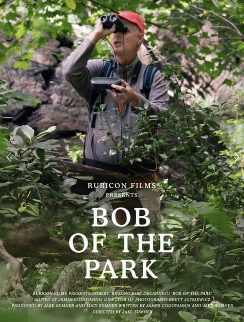 Poster of Bob of the Park