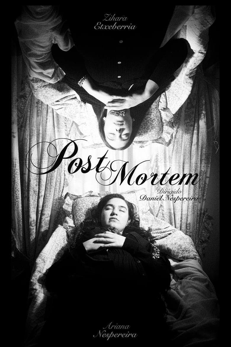 Poster of Post Mortem