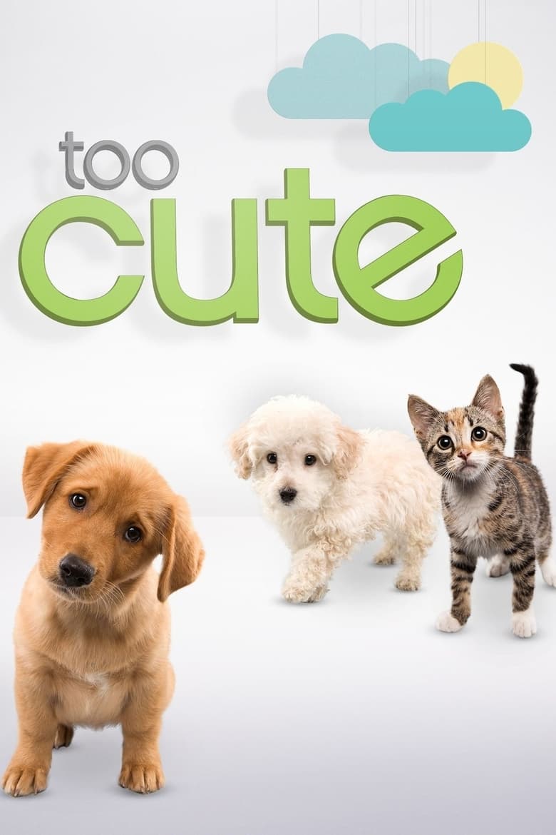 Poster of Cast and Crew in Too Cute - Season 6 - Episode 1 - Shy Kitties