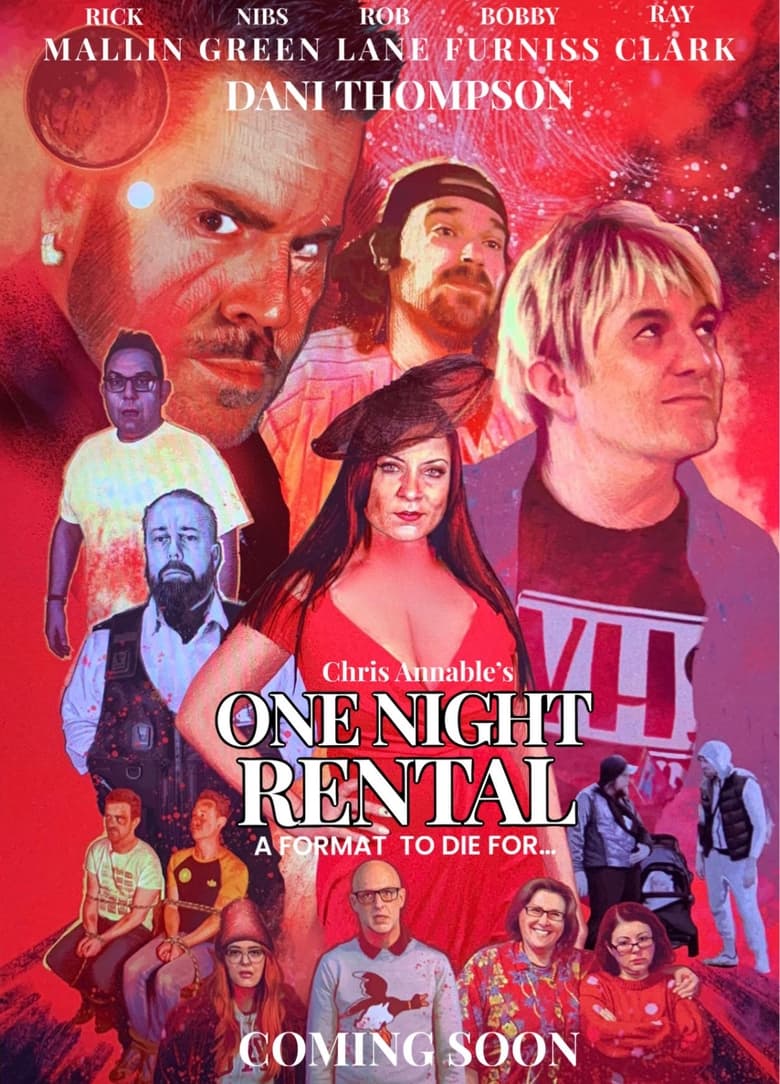 Poster of One Night Rental