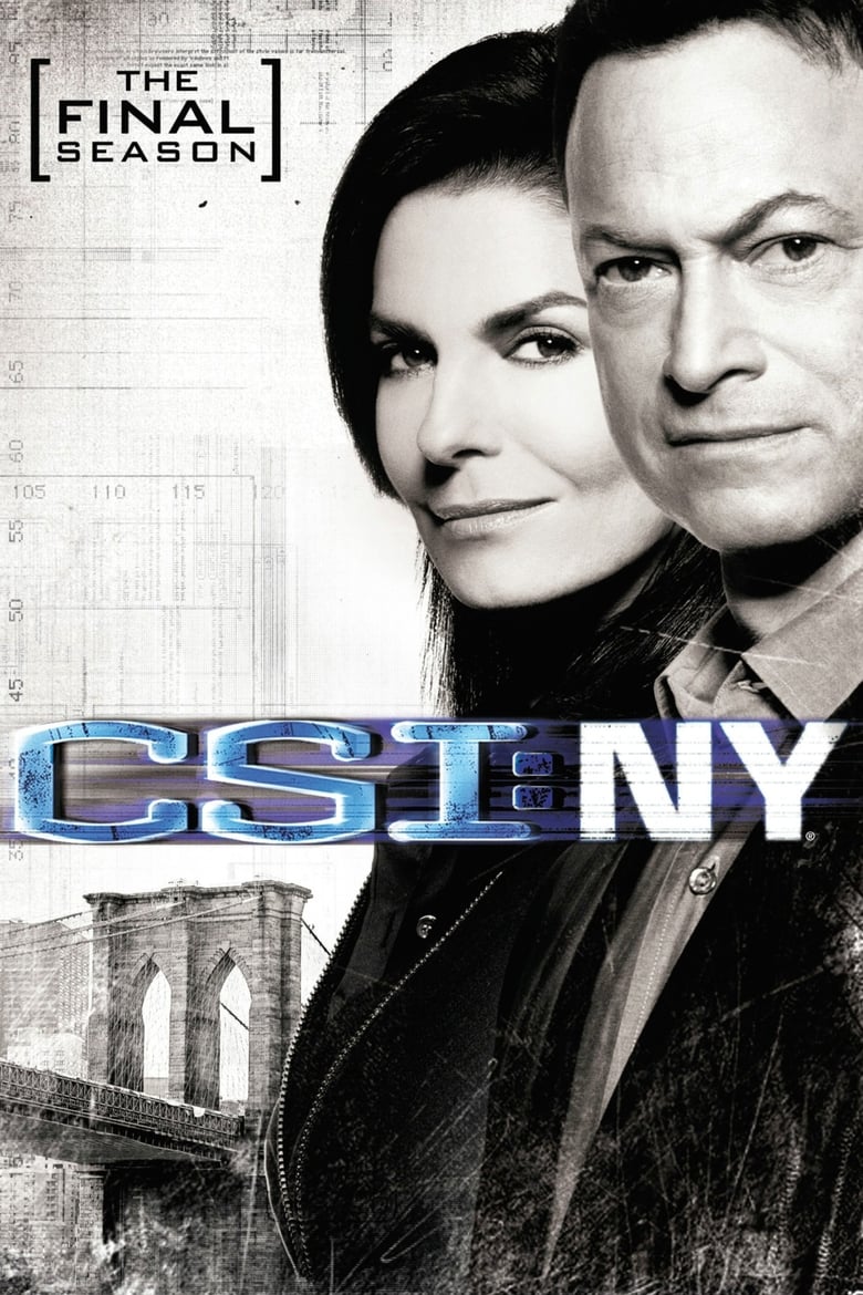 Poster of CSI  NY - Season 9 - Episode 5 - Misconceptions