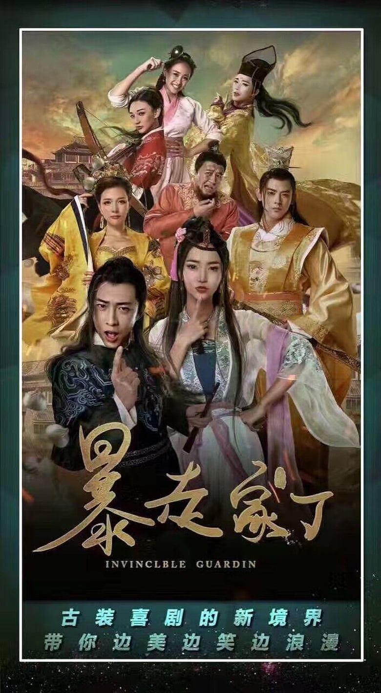 Poster of 暴走家丁