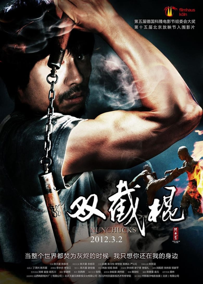 Poster of 双截棍