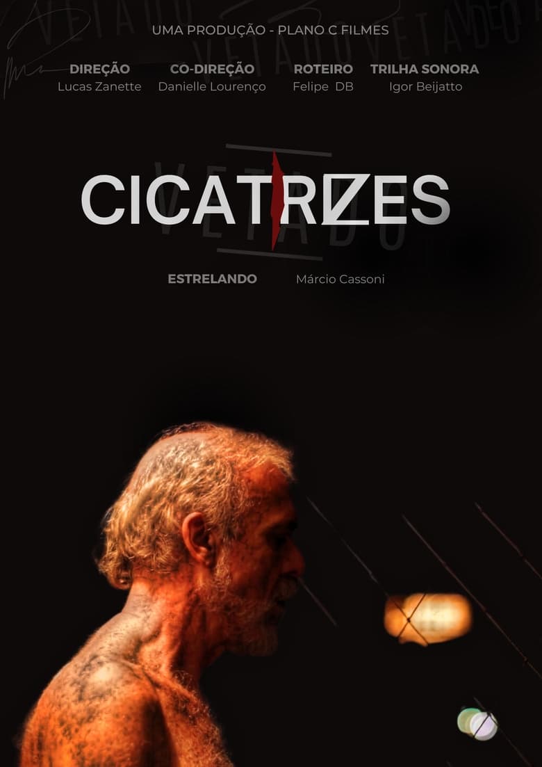 Poster of Cicatrizes