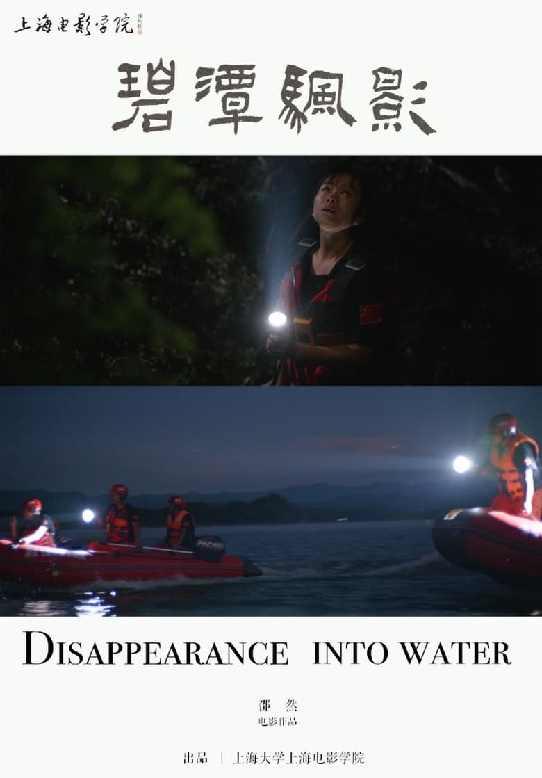 Poster of Disappearance into Water