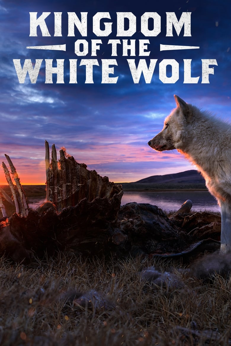 Poster of Episodes in Kingdom Of The White Wolf - Season 1 - Season 1